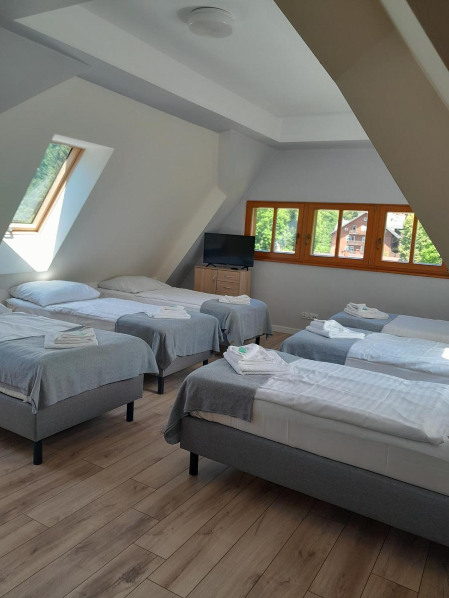 Willa Goralka Międzygórze Chambre photo